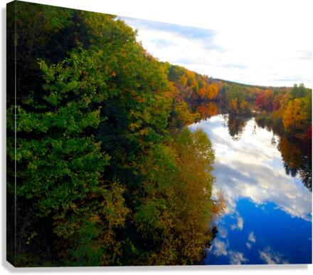 MI Reflections 2 Canvas Print