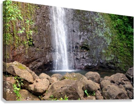 Hiking Hawaii 4 Canvas Print