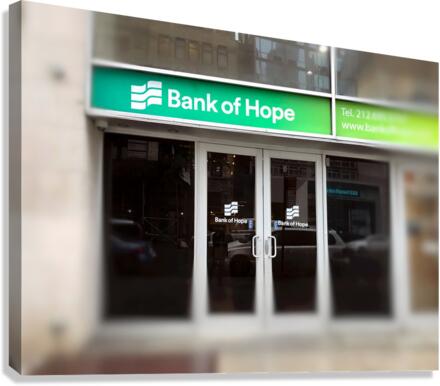 Hope Fading 2 Canvas Print