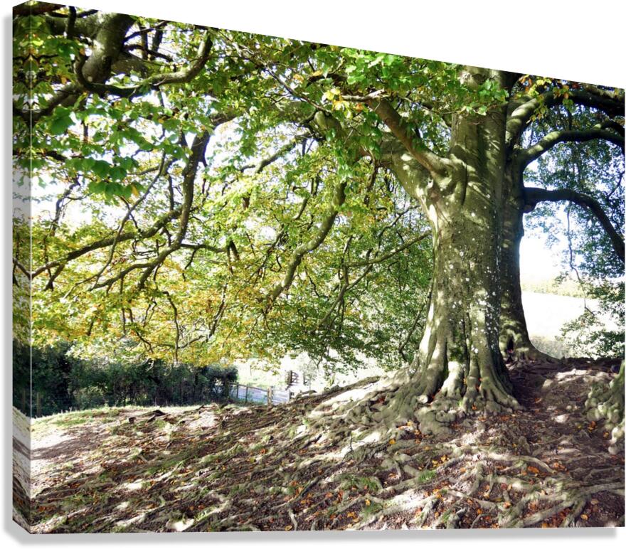 Rooted in Strength Canvas Print