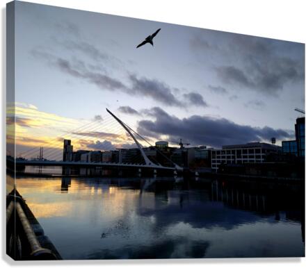 Soaring into the Sunrise Canvas Print