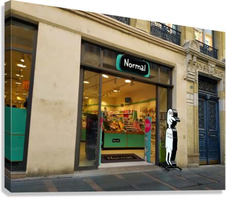 Shopping for Normalcy Canvas Print