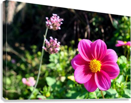 Flower Bloom 7B Canvas Print