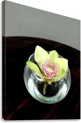 Glass Bloom Canvas Print