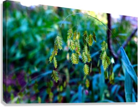 Silent Green Wind Chimes 2 Canvas Print