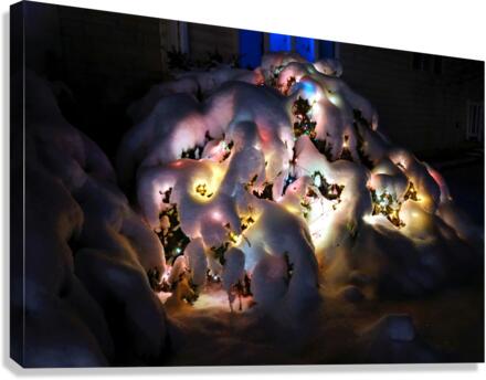 Frozen Christmas 2B Canvas Print