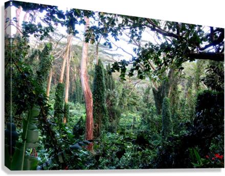 Welcome to Jurassic Park Canvas Print