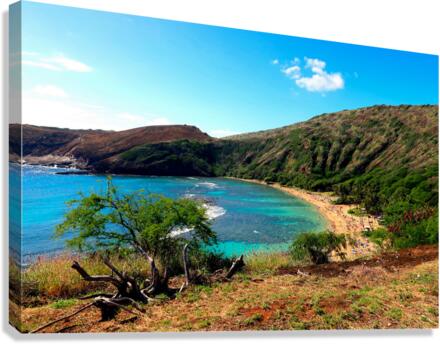 Paradise Found 2 Canvas Print