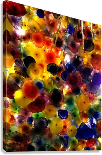 Color Chaos Canvas Print