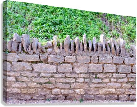 Barbed Stone Wall 2 Canvas Print
