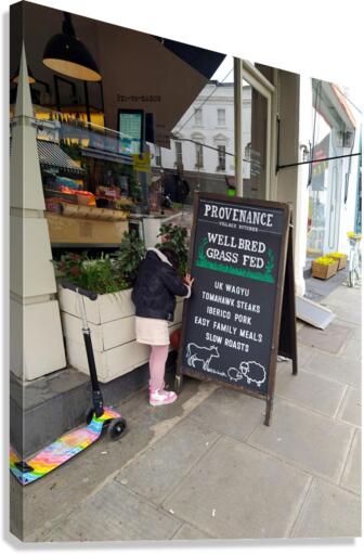 Well Bred Provenance Canvas Print