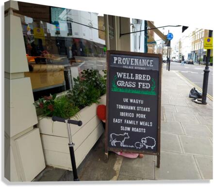 Well Bred Provenance 2 Canvas Print