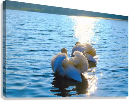 Behind Wings of Love 2B Canvas Print