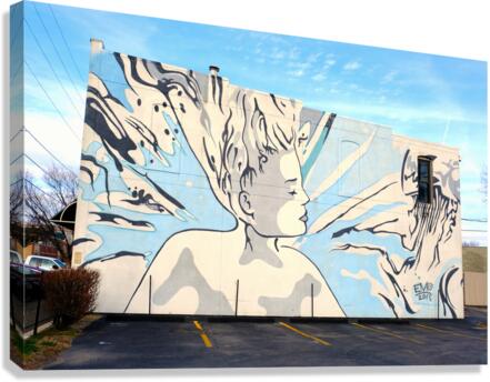 Wall of Beauty Mural Canvas Print