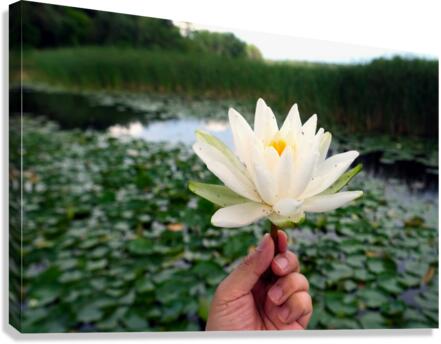 Lifting Beauty Canvas Print