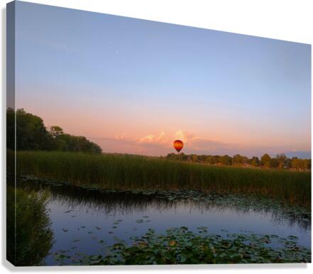 Solace in the Sky Canvas Print