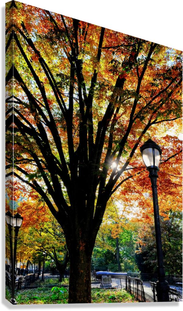 A Stroll in Color Canvas Print