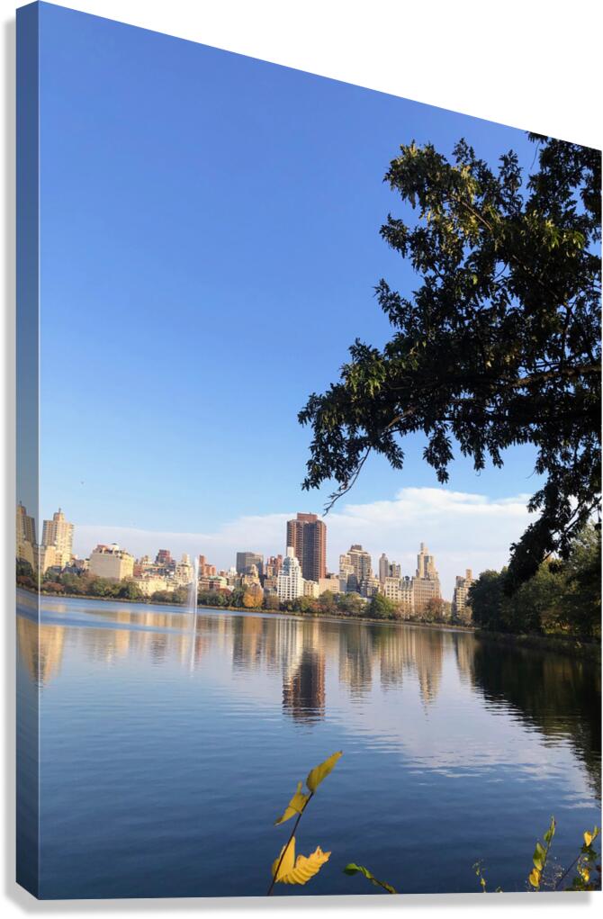 Nature’s Window to the City Canvas Print