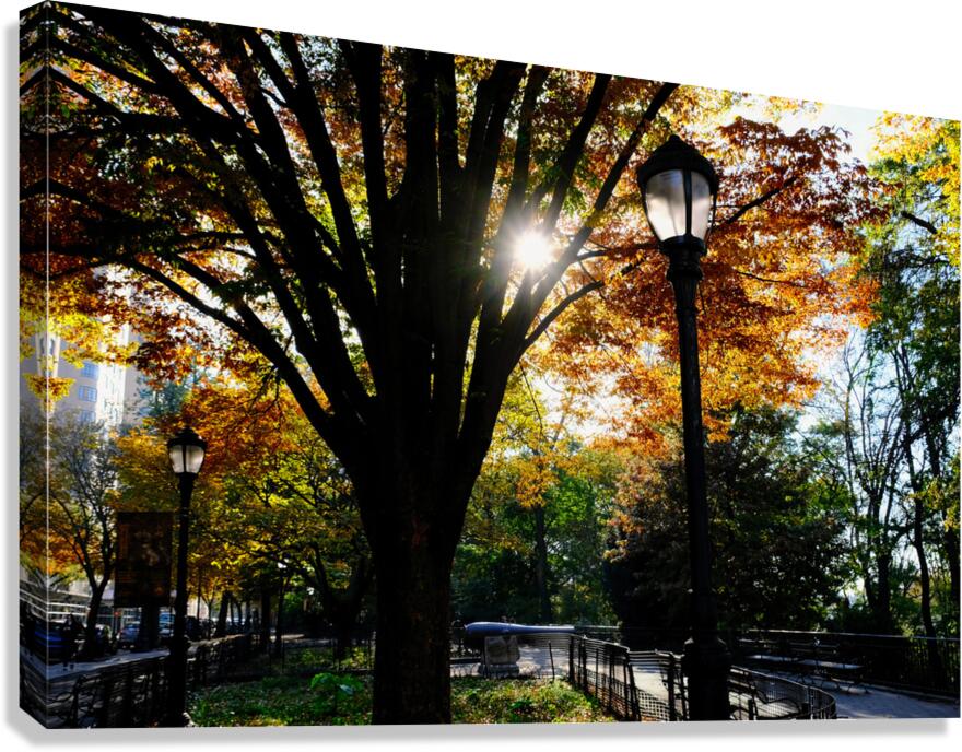 Shades of Autumn Canvas Print