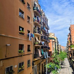 Open Windows- Open Lives