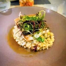 Earth Ocean Flame: A Coastal Culinary Portrait