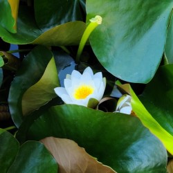 The Quiet Reveal: Beauty Beneath