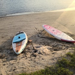 The Last Drift Before Dusk