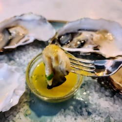 Brine & Butter: A Moment Between Tides