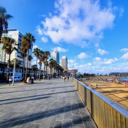 Barcelona Beach: Where the City Meets the Sea