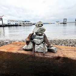  The Watcher of West Seattle 