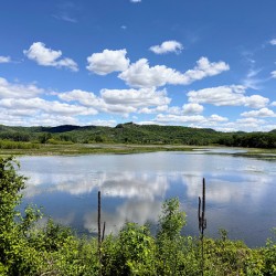 Serenity on the Surface