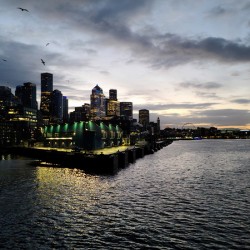 Moody Seattle