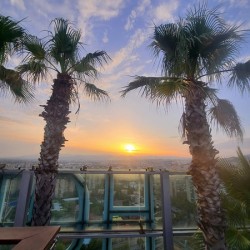 Tropic Stillness Above the Noise