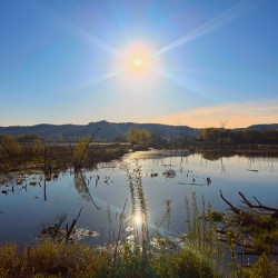 Sunrise Over Tranquil Wetlands with Sunbeam Reflection