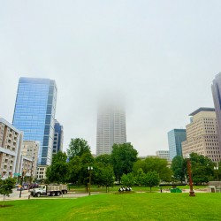 Foggy Skyline with Park