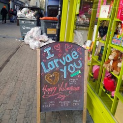 I Larvae You No Backbone Love