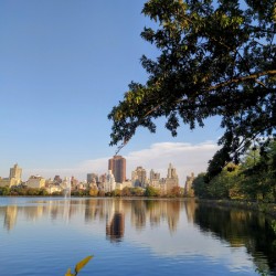 Framed Reflections – Central Park