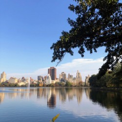 Nature’s Window to the City