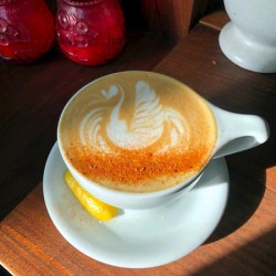 Shadow Swan Take Flight