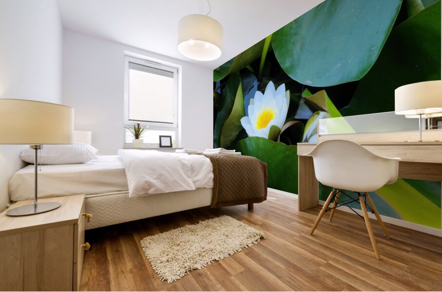 The Quiet Reveal: Beauty Beneath Mural print