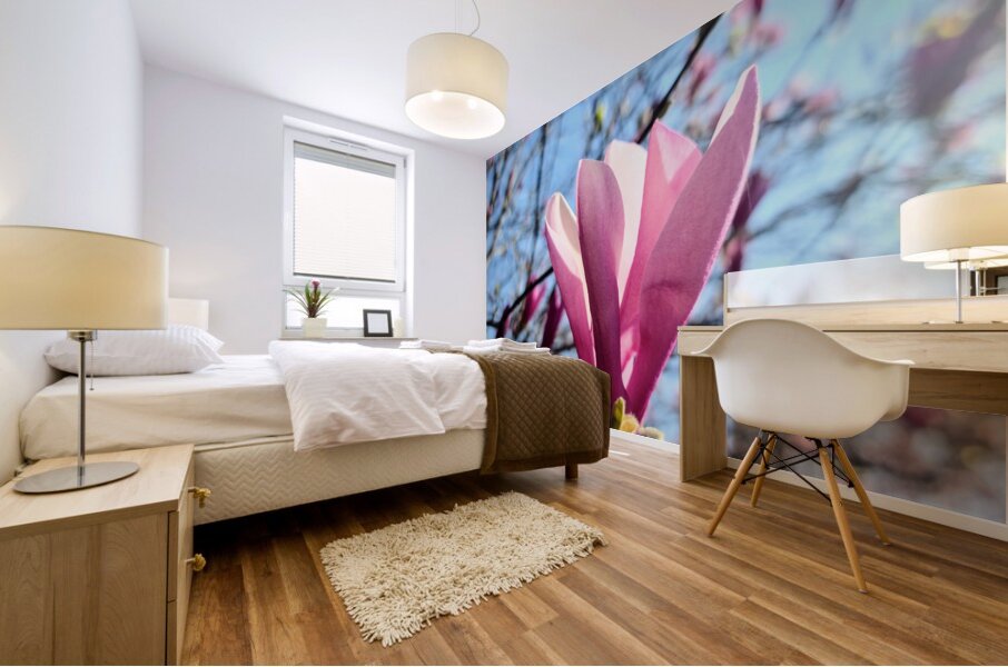 A Magnolias First Embrace of Light Mural print