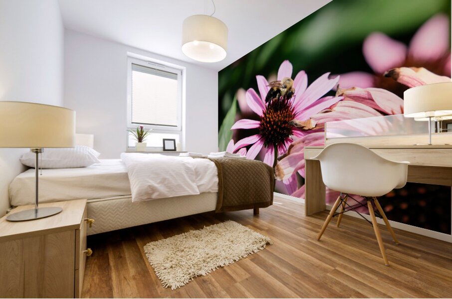 Coneflower and the Resting Wanderer Mural print