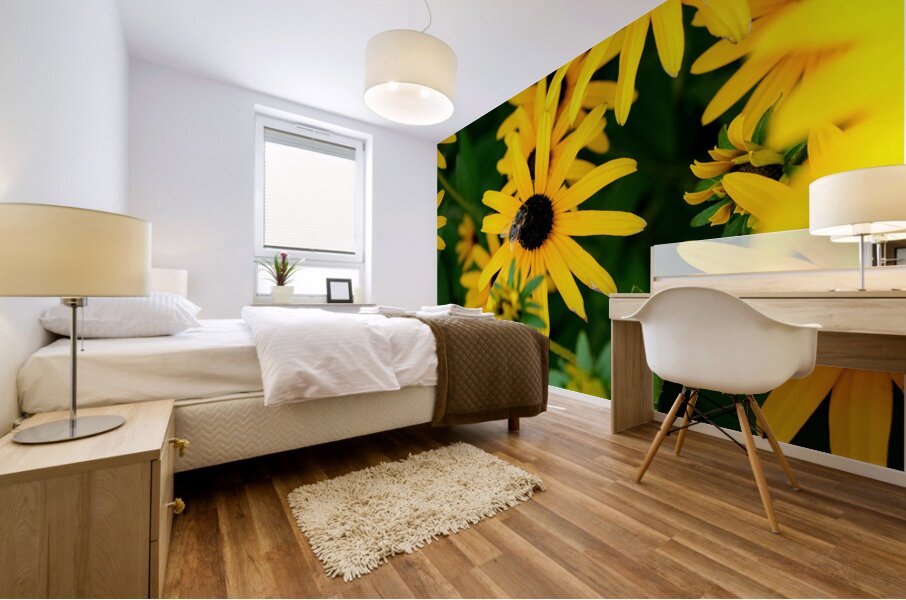 Black-Eyed Susans Dance Partner Mural print