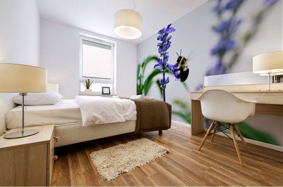 Just A Blue Salvia Buzzing Bee Mural print