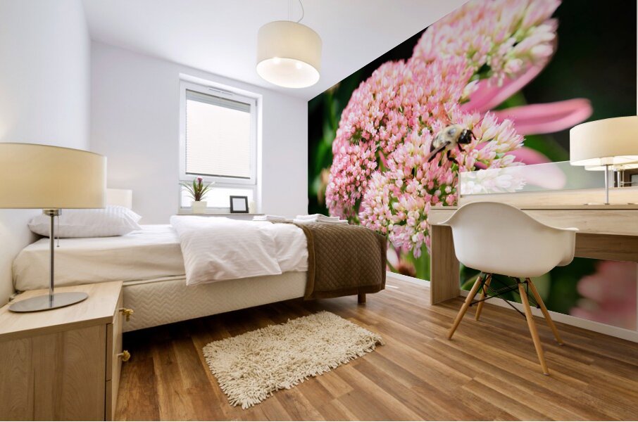  Sedum and the Messenger of Life Mural print