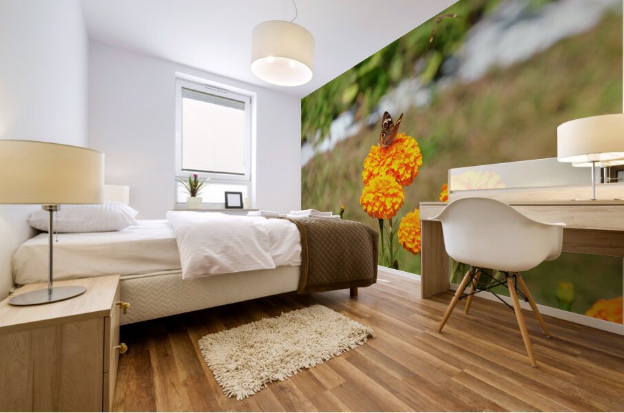 A Butterfly’s Pause Amid Sunfire Blooms Mural print