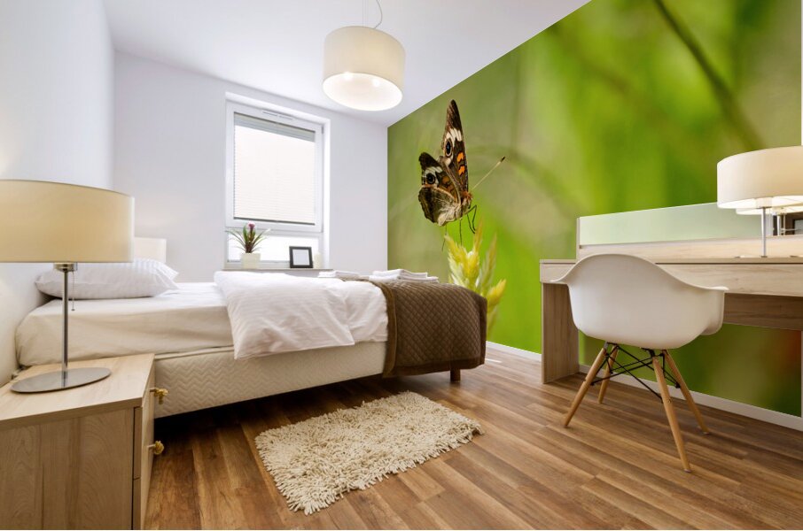 Buckeye Butterfly: Stillness Between Wingbeats Mural print