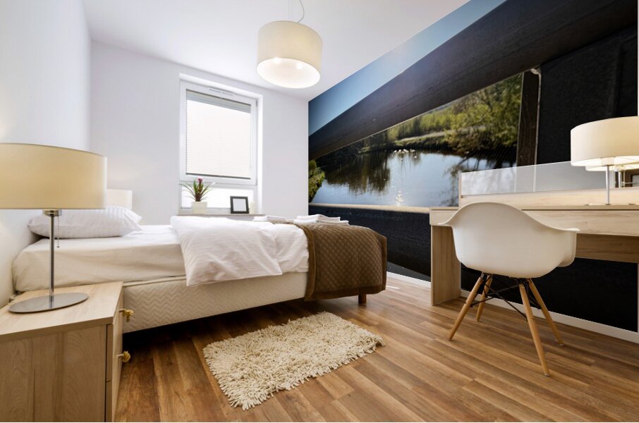 Spider Web on Bridge at Sunrise – Nature Framed in Stillness 1 Mural print