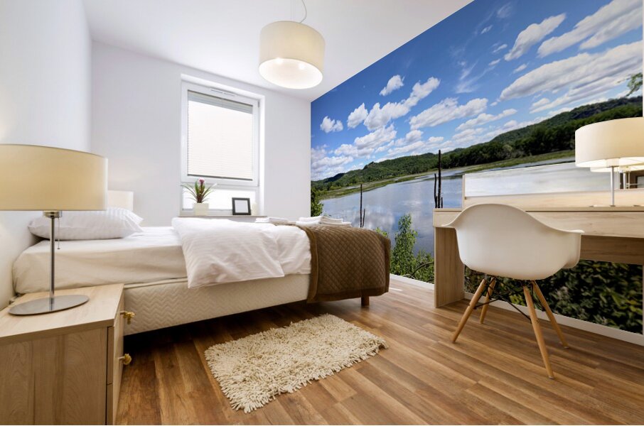 Into the Wild Blue Mural print