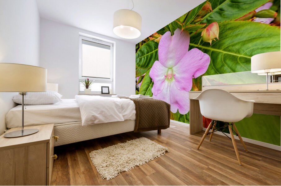 Impatiens: Soliloquy in Pink Mural print